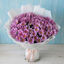 Букет цветов из:  Хризантемы в Зубцове