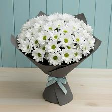 Букет цветов из:  Хризантемы #REPLACE_PRED# Зубцове