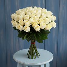 Букет 51 Белая роза Эдлесс Лав #REPLACE_PRED# Зубцове