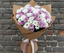 Букет цветов из:  Хризантемы в Зубцове