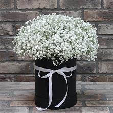 Цветочная композиция из Гипсофила в шляпной коробке #REPLACE_PRED# Зубцове