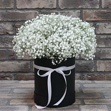Цветочная композиция из Гипсофила в шляпной коробке в Зубцове