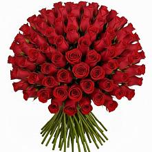 Букет Красные розы Чери Лав в Зубцове